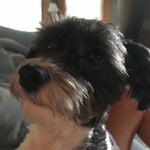 Meet your Posher, Jaidyn